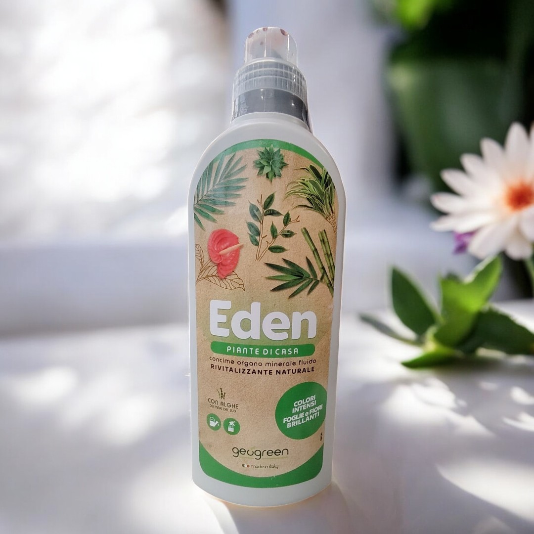 Geogreen Eden Piante di Casa
